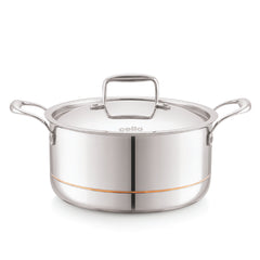 5-Ply Stainless Steel Casserole with Lid Silver / 4 Litres