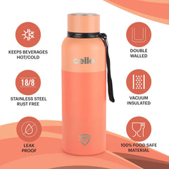 Neo Kent Flask, Vacusteel Water Bottle / 550ml