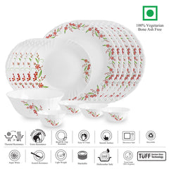 Imperial Series 19 Pieces Opalware Dinner Set for Family of 6 Cello Creeper