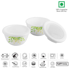 Royale Series Small Mixing bowls with Premium lid Gift Set, 2 Pieces Green Orchard / 2 Pieces
