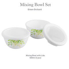 Royale Series Small Mixing bowls with Premium lid Gift Set, 2 Pieces Green Orchard / 2 Pieces
